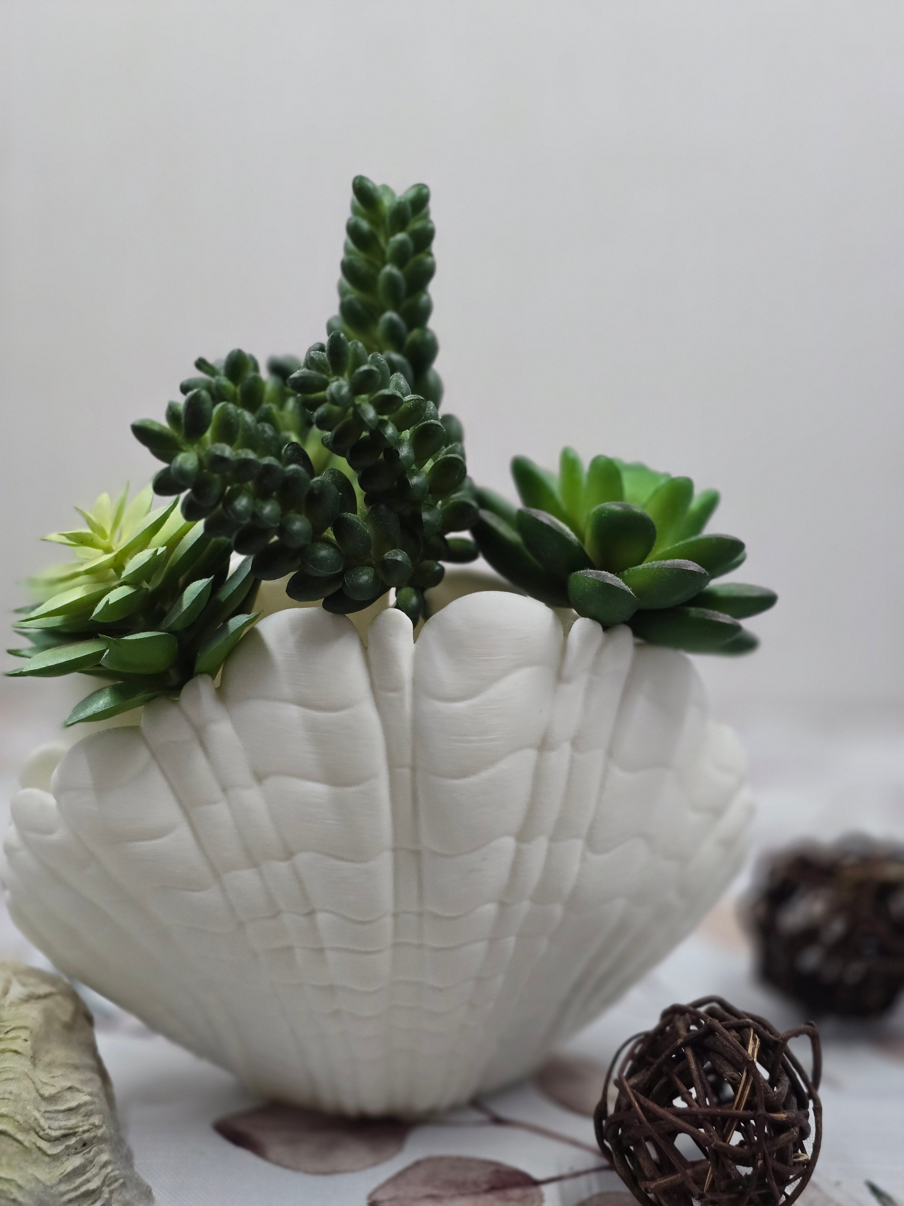 Clamshell Vase