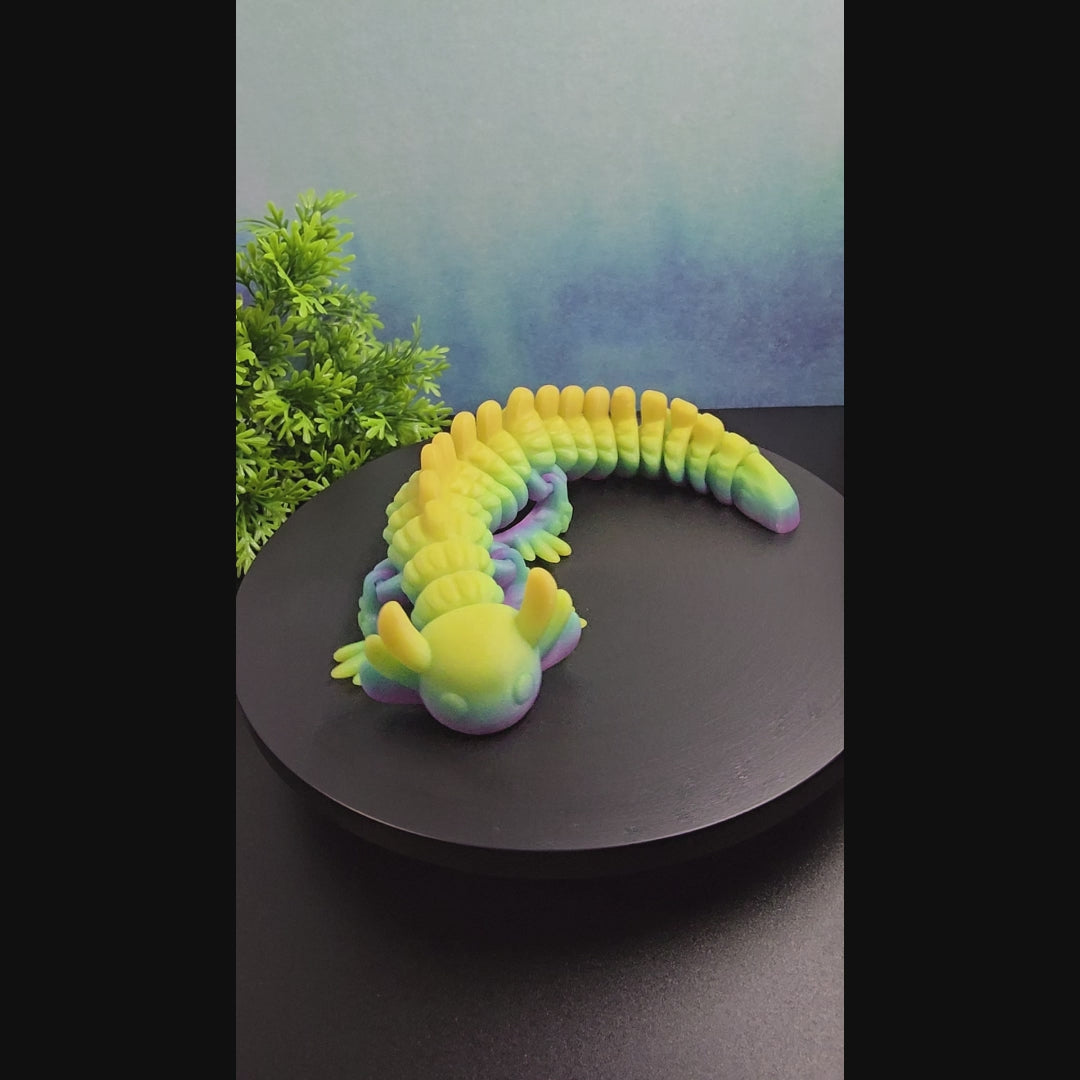 Articulated Axolotl