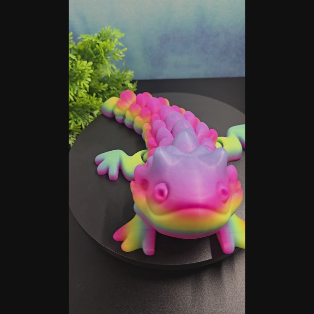 Bearded Dragon